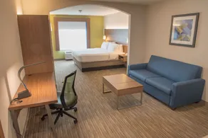 Holiday Inn Express Hotel & Suites Elkhart-South by IHG - Værelse