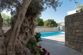 Eco Villas - Basseng