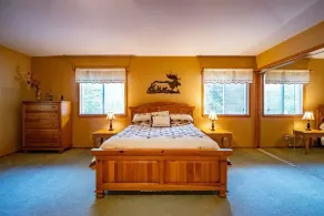 Paradise Found - Room