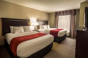 Comfort Suites Bloomington I-55 and I-74 - Chambre