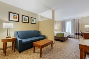 Comfort Inn Plover-Stevens Point - Chambre