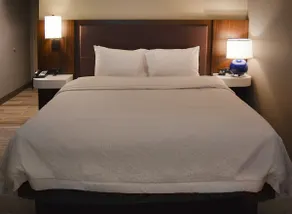 Hampton Inn & Suites Philadelphia/Media - Chambre