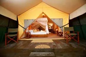 Yala safari and Relax camping - Camera