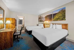 Days Inn by Wyndham Dubuque - Chambre