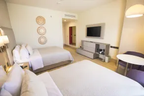 Hilton Garden Inn Silao Aeropuerto Bajio - Chambre