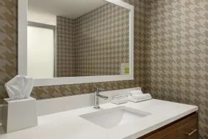 Home2 Suites by Hilton Statesboro - Salle de bain