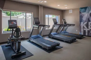 SpringHill Suites by Marriott Baton Rouge South - Salle de remise en forme