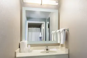 SpringHill Suites Louisville Hurstbourne/North - Salle de bain