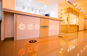 Lagoona Sunset - Reception