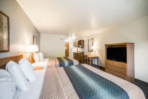 Welcome Suites-O'Fallon - Room