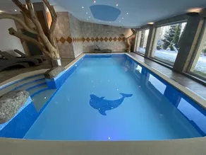 Hotel Podlesí - Piscina