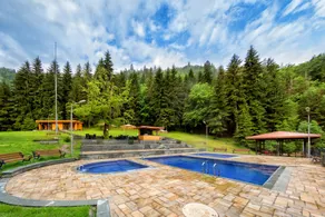 Crowne Plaza - Borjomi by IHG - Pool