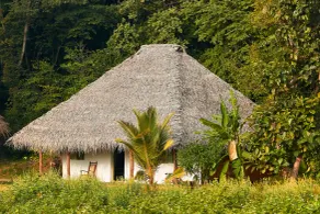 Amuna Ayurveda and Wellness Retreat - Camera