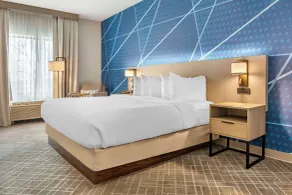 Comfort Inn & Suites Rapid City near Mt Rushmore - Room