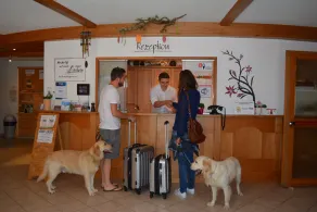 Hotel Sonja - Réception
