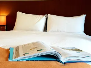 ibis Brisbane Airport - Room
