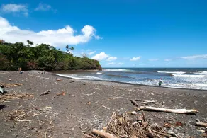 Hilo Apartment: Ocean Views on the Hamakua Coast! - Interiør