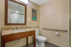 Comfort Suites Tallahassee Capitol - University Area - Salle de bain