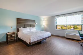 Tru by Hilton Saint Joseph - Room