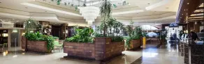 Evenia Olympic Garden - Resepsjon