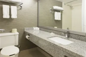 Toronto Don Valley Hotel and Suites - Salle de bain