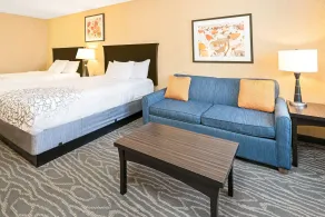 La Quinta by Wyndham Logan - Chambre