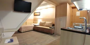 Apartments KOP Konaci - Rum