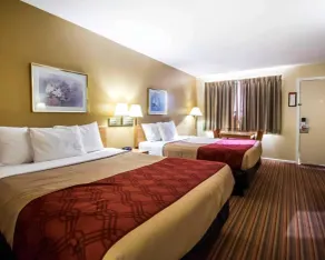 Econo Lodge Erlanger - Cincinnati Airport - Chambre