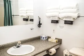 Crescent Motel - Salle de bain