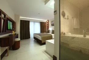 Victory Hotel & Spa Istanbul - Room