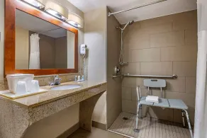 Comfort Inn Matthews / Charlotte - Salle de bain