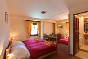 Hotel Zelený Dům - Camera