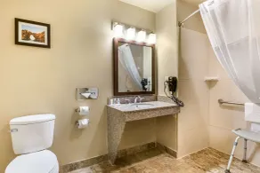 Comfort Inn & Suites Orange County John Wayne Airport - Salle de bain