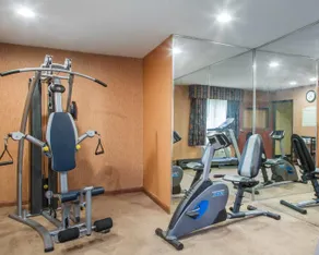Quality Inn & Suites - Fitnesscenter