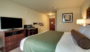 Cobblestone Inn & Suites - Harvey - Værelse