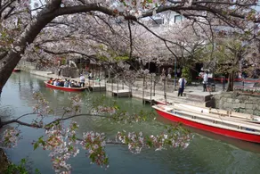 Yanagawa B&B hatago - Utsikt från boendet