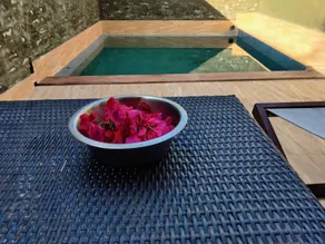 The Narayan Resort - Pool