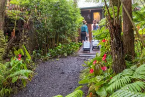 Volcano Village Lodge - Réception