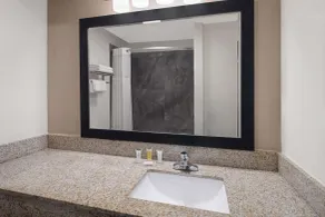 Ramada by Wyndham Locust Grove - Salle de bain