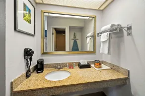 Quality Inn & Suites Fayetteville I-95 - Chambre