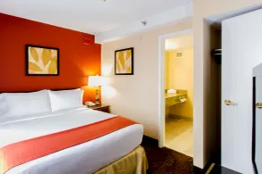 Holiday Inn O'Hare Area by IHG - Chambre