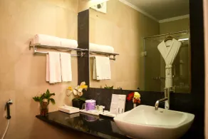 Polo Towers, Shillong - Bathroom