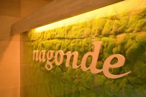 Guesthouse Nagonde - Hall