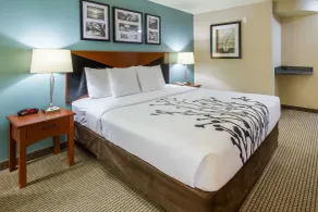 Sleep Inn & Suites Rapid City - Chambre