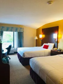 Hotel M Mount Pocono - Chambre