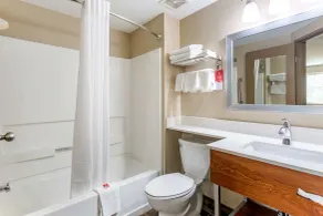 Econo Lodge Inn & Suites Dickson - Salle de bain