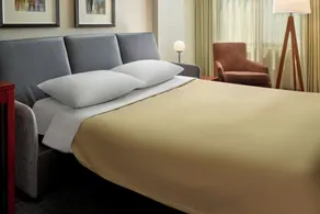 Residence Inn by Marriott National Harbor Washington, D.C. Area - Chambre