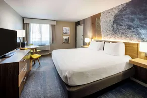 Aiden by Best Western Cape Cod - West Yarmouth - Chambre