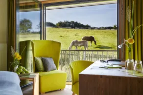 Steinbergs Wildewiese NaturHotel - Chambre