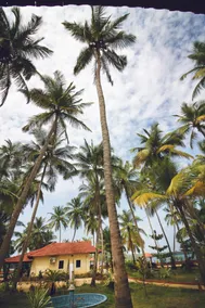 Paradise Lagoon - Pool